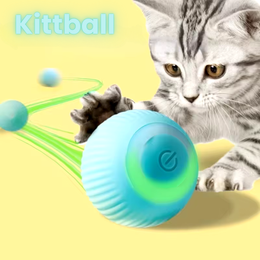 Kittball Selbstrollender Spielzeugball