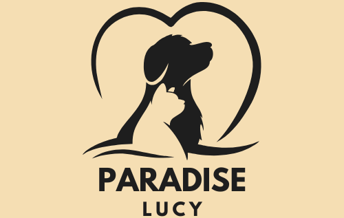 Paradise Lucy